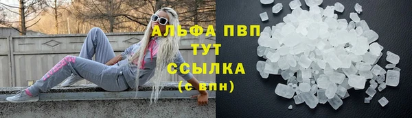 СК Куйбышев
