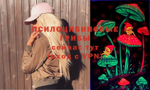 СК Куйбышев