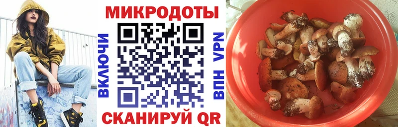 наркота Троицк OMG сайт Галлюциногенные грибы Cubensis