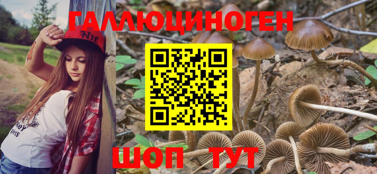 Псилоцибиновые грибы GOLDEN TEACHER Троицк